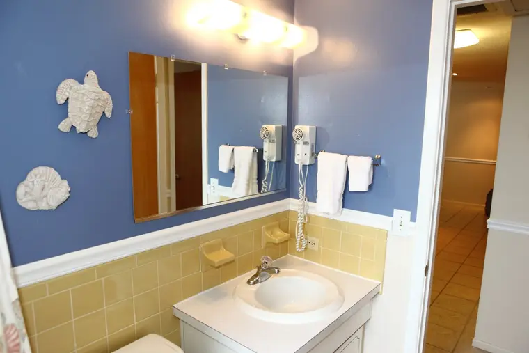 Bathroom vanity and mirror with sea turtle accents, Happy Turtle B